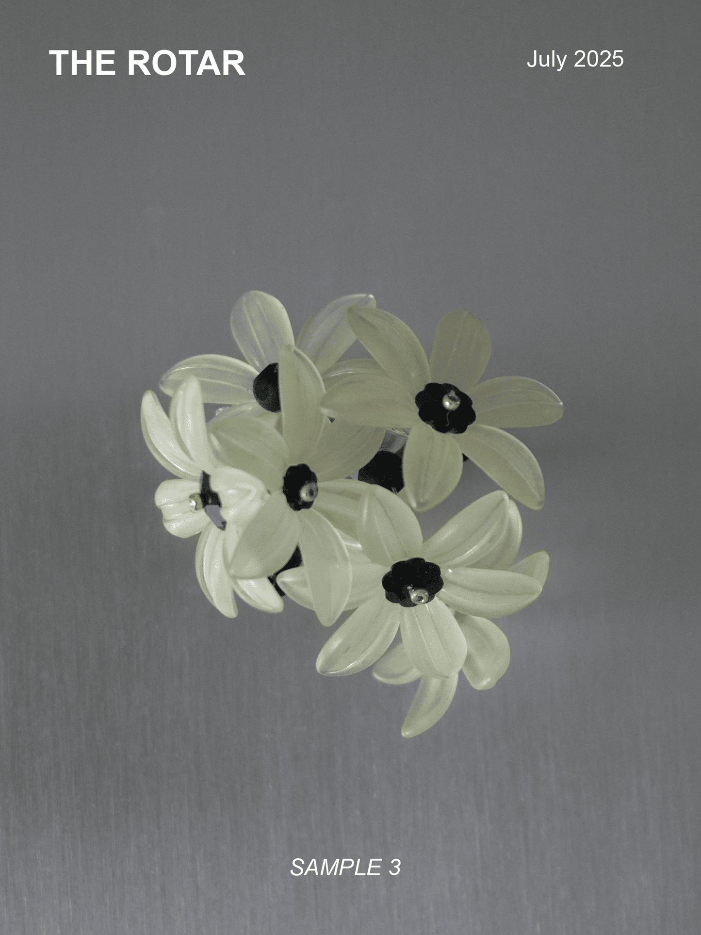 Sample #2 Earrings