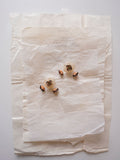 The Rotar, No. 09 - Earrings