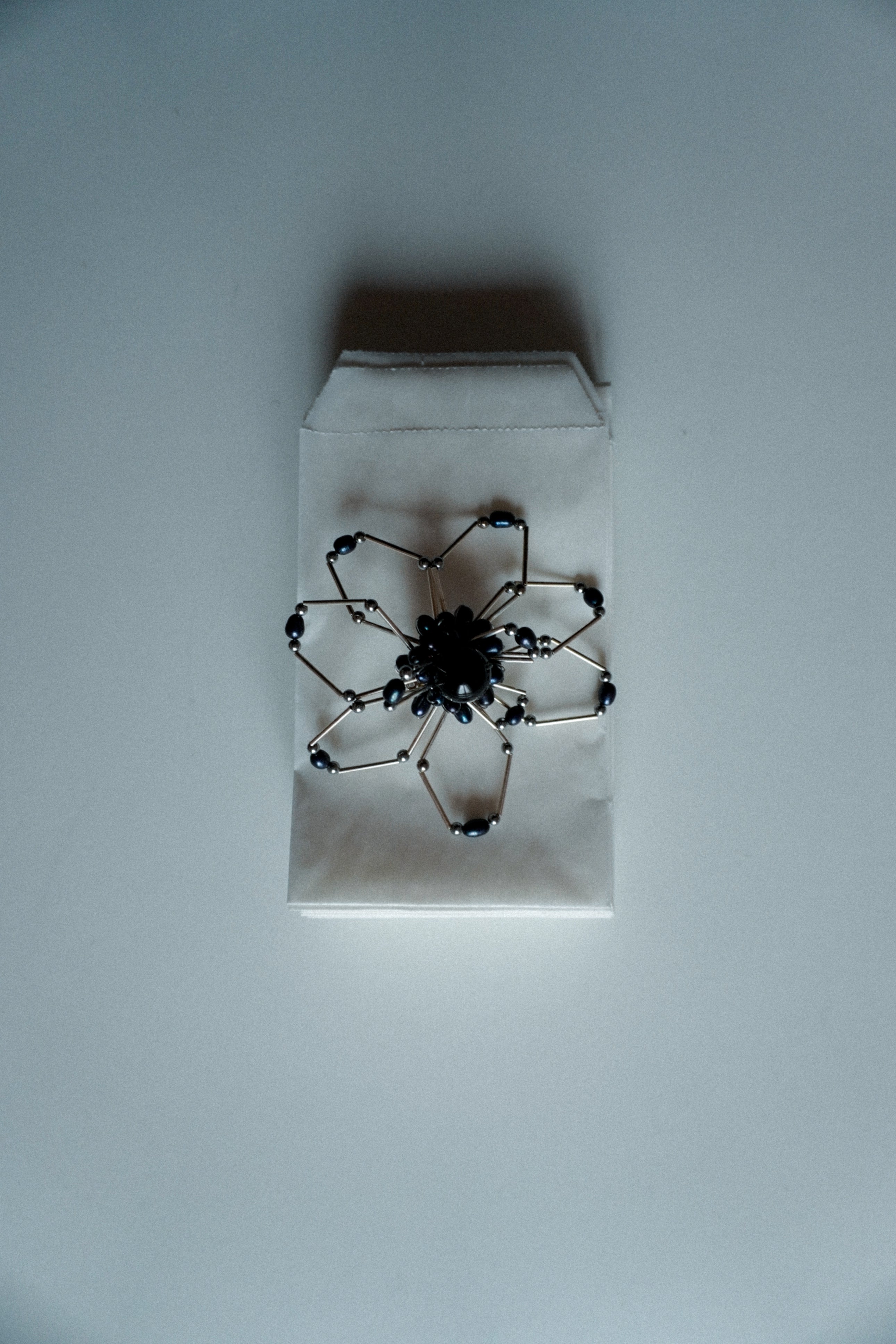 Larley Dark Earrings